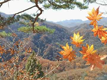 微山邢台打胎药（打胎药药店多少钱一盒）